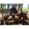 Image 4 : 2-day Eastern Turkey Hunt for 1 hunter