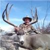 Image 2 : 6-Day, Free-Range, Desert Mule Deer Hunt for 1 Hunter