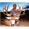 Image 3 : 6-Day, Free-Range, Desert Mule Deer Hunt for 1 Hunter