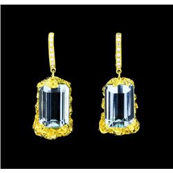 18.00 ctw Aquamarine And Diamond Earrings - 18KT Yellow Gold