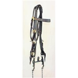 RT Frazier Bridle