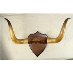 Longhorn Plaque