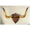 Image 1 : Longhorn Plaque