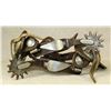 Image 1 : Crockett Spurs