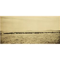 Huffman Photograph