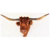 Image 1 : Longhorn Steer Mount