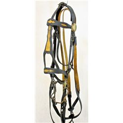 Officer's Dragoon Bridle