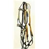 Image 2 : Officer's Dragoon Bridle