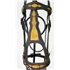 Image 4 : Officer's Dragoon Bridle