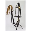 Image 5 : Officer's Dragoon Bridle