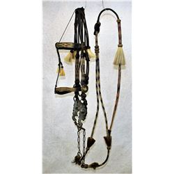 Rawlins Wyoming Horsehair Bridle