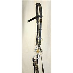 US Cavalry Bridle