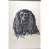 Image 1 : Framed original pastel on paper drawing titled "Bunker" and signed by artist Josephine Crumrine, 24"