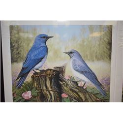 Two unframed limited edition prints, both titled "Mountain Bluebirds" pencil signed by artist John S