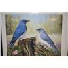 Image 1 : Two unframed limited edition prints, both titled "Mountain Bluebirds" pencil signed by artist John S