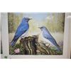 Image 2 : Two unframed limited edition prints, both titled "Mountain Bluebirds" pencil signed by artist John S