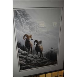 Framed limited edition print titled "Rocky Mountain Big Horn" pencil signed by artist Marla Wilson, 