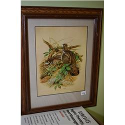 Two framed pictures, one featuring butterflies and one of pheasants