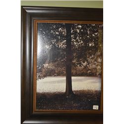 Two framed sepia prints of trees