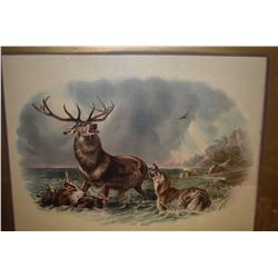 Vintage framed print of a wilderness battle