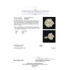 Image 5 : 1.05 ctw Diamond Ring - 14KT Yellow Gold