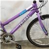 Image 2 : PURPLE TRIBAL BIKE