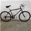 Image 1 : BLACK RENEGADE BIKE
