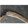 Image 3 : SCYTHE