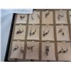 Image 2 : TRAY OF UNQIUE STERLING EARRINGS - ALL STAMPED 925