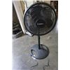 Image 1 : BLACK LASKO FLOOR FAN
