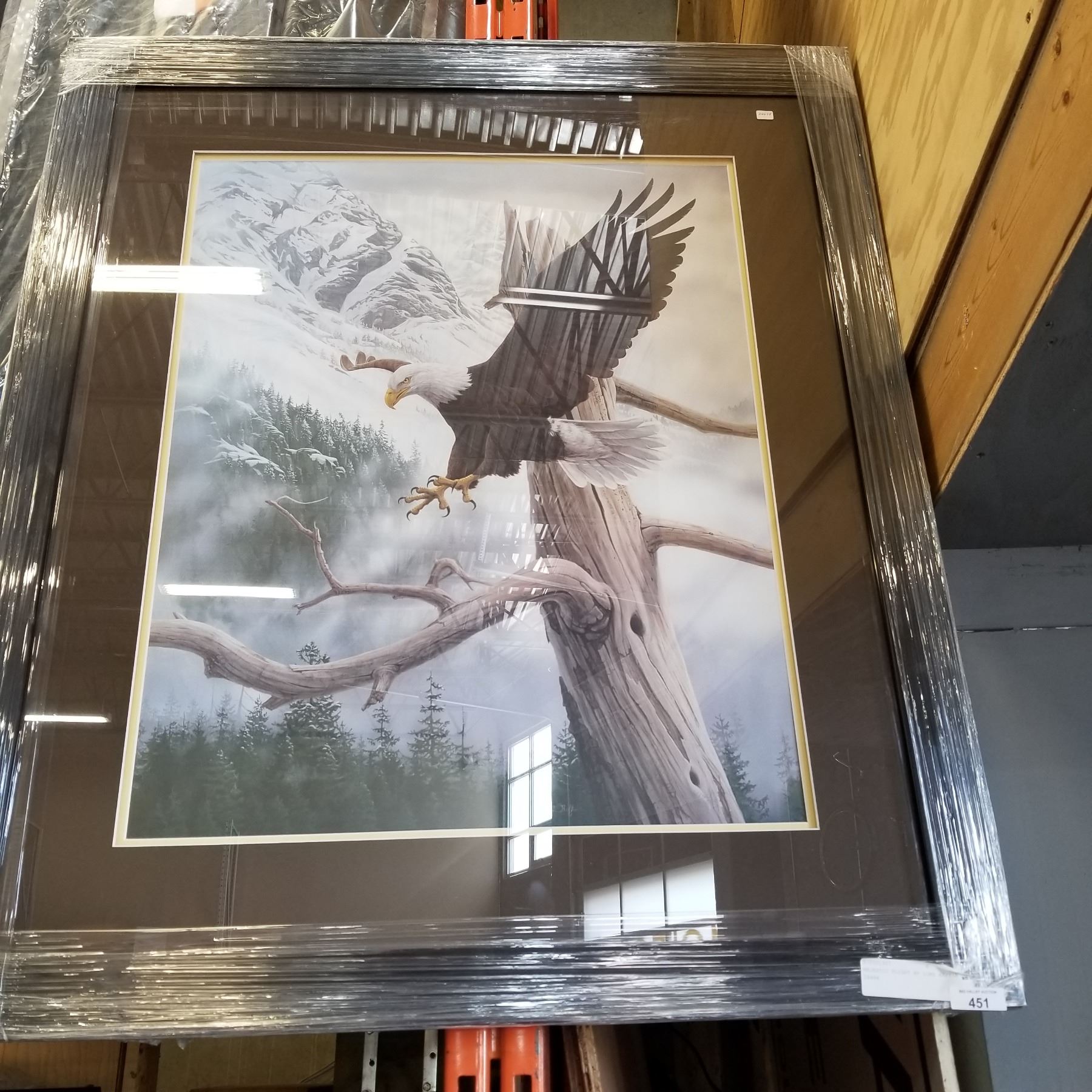 MAJESTIC FLIGHT BY LUKE RAFFIN 24694