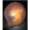 Image 1 : The Silence - Creature Egg Prop from the Film (0024)