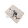 Image 1 : Saw III - Anatomical Drawing of a Bird from the Sick Room (0002)