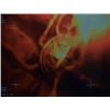 Image 2 : Stargate SG-1 - Scarab Miniature Naquadah Bomb (0015)