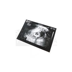 Once Upon a Time - Belle's Ultrasound Prop (1789)