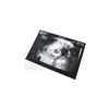 Image 1 : Once Upon a Time - Belle's Ultrasound Prop (1789)