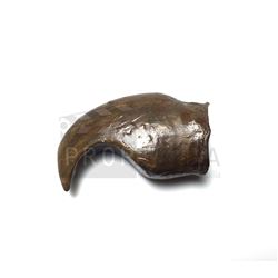 Beauty and the Beast - Beast Claw prop (0002)