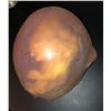 Image 1 : The Silence - Creature Egg Prop from the Film (0025)