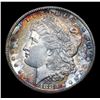 Image 2 : *Auction Highlight* 1883-s Rainbow Toned Ultra Rare Morgan $1 Graded Select Unc PL By USCG (fc)