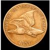 Image 2 : 1857 Flying Eagle Cent 1c Grades vf++
