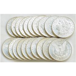 (20) UNC Random Date BU  Morgan Dollars