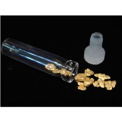 (1) One Gram Alluvial Gold Nugget(s) in Vial