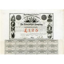 Tehuantepec Co., 1853 Issued Bond