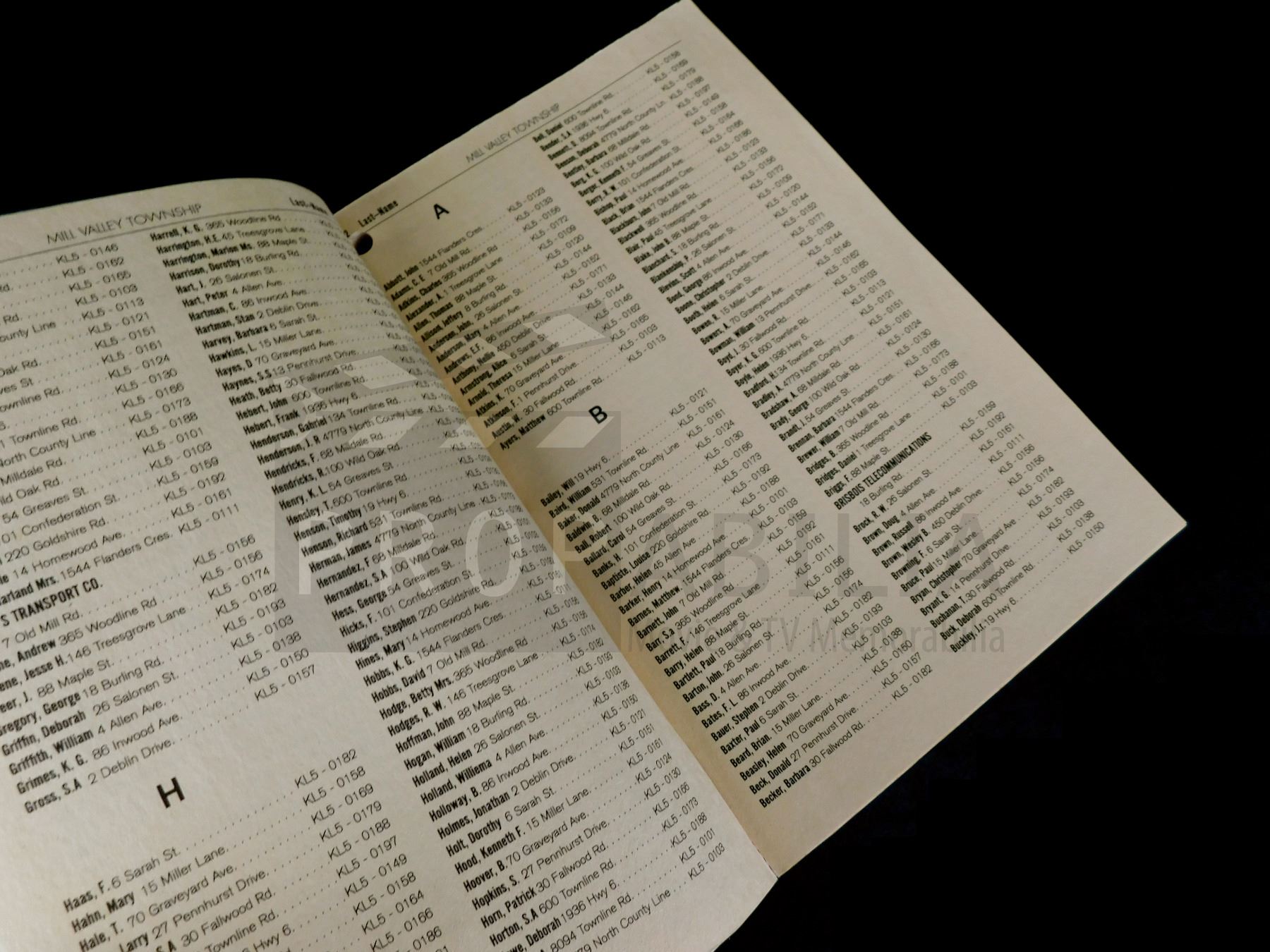 Scary Stories Mill Valley Township Residential Telephone Directory Prop (0237) Scary Stories Mill Valley Township Residential Telephone Directory Prop (0237)