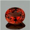 Image 1 : Natural  AAA Champagne Imperial Topaz 12x10 MM - FL