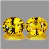 Image 1 : Natural Golden Yellow Pair 5x4 MM - VVS