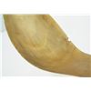 Image 8 : Tlingit Carved Horn Spoon