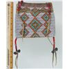 Image 7 : Plains Beaded Bag