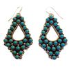 Image 1 : Zuni Earrings - "TJ"