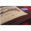 Image 4 : Collectors Pendleton Blanket